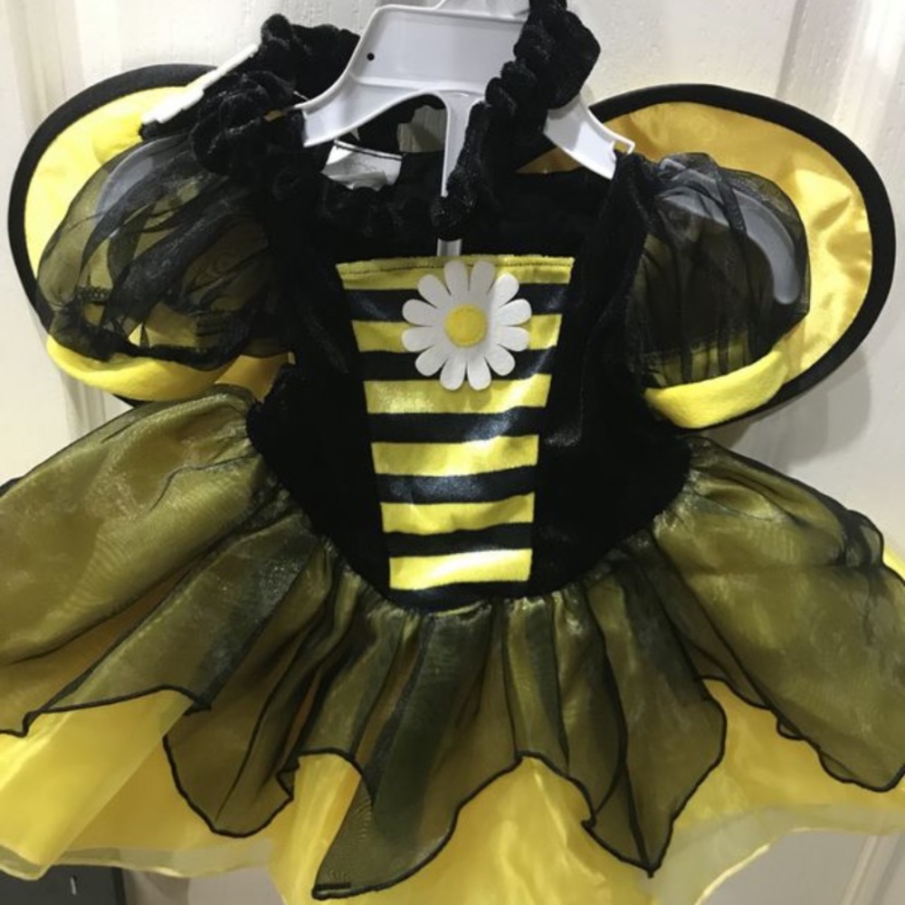 Bee costume